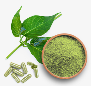 Gymnema Leaf Powder