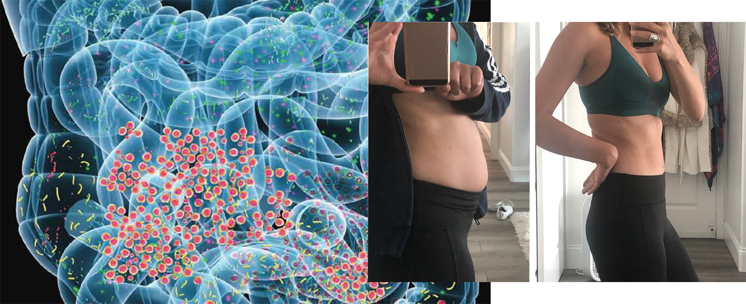 28-Day Gut Rescue Challenge Program