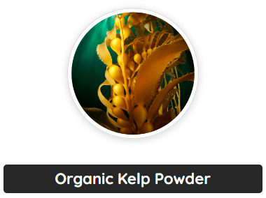 Organic Kelp Powder