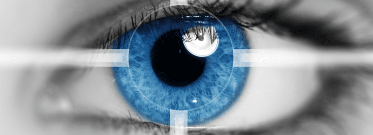 BeVital Vision Premium Ingredients