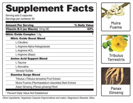 Snap Nitric Oxide Booster Ingredients