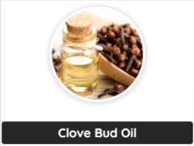 Clove Bud Oil