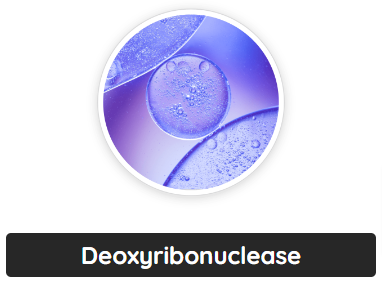 Deoxyribonuclease