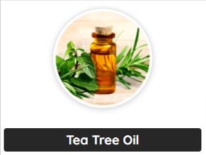 Tea Tree Oil