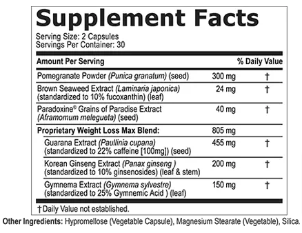 BellySlim-XT Ingredients