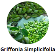 Griffonia Simplicifolia