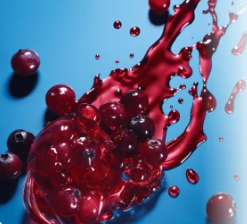 Cranberry Extract