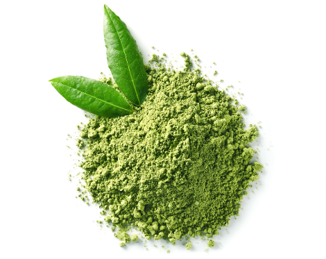 Green Tea Extract