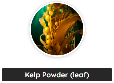 Kelp Powder