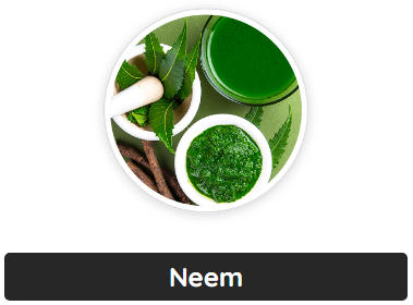 Neem