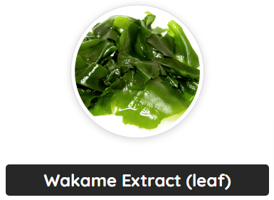 Wakame Extract