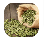 Green Coffee Bean