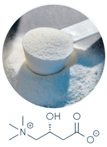 N-acetyl L-carnitine