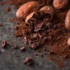 Theobromine