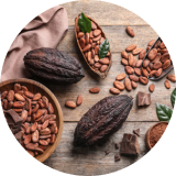 Theobromine