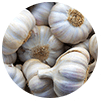 garlic-ingredient (1)