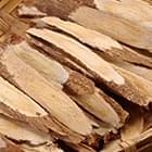 Astragalus Root Extract