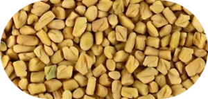 Fenugreek18,19