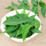 Neem (1)