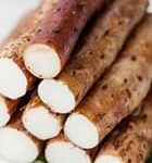 Wild Yam Root Extract
