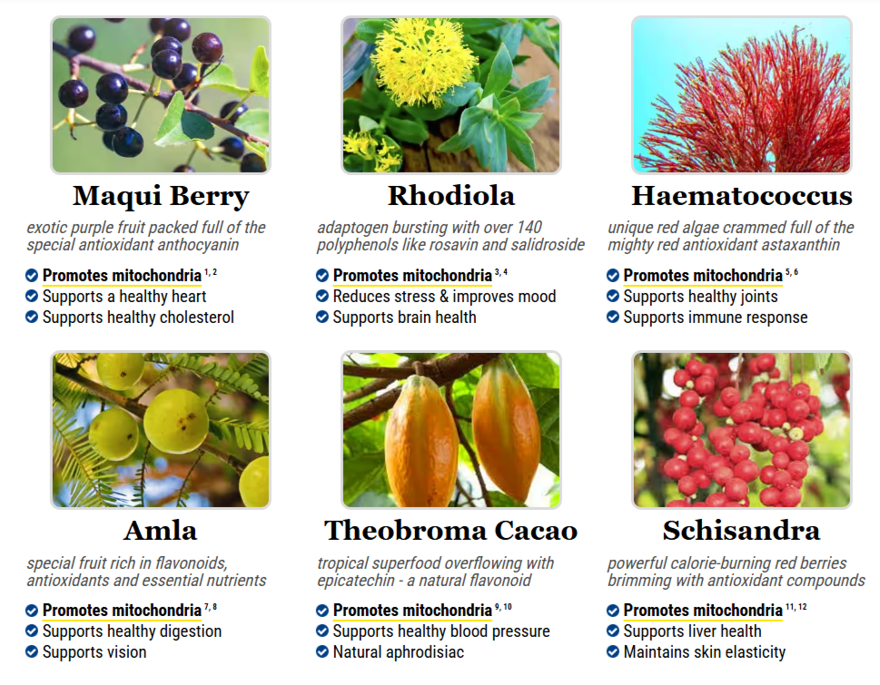 Mitolyn ingredients
