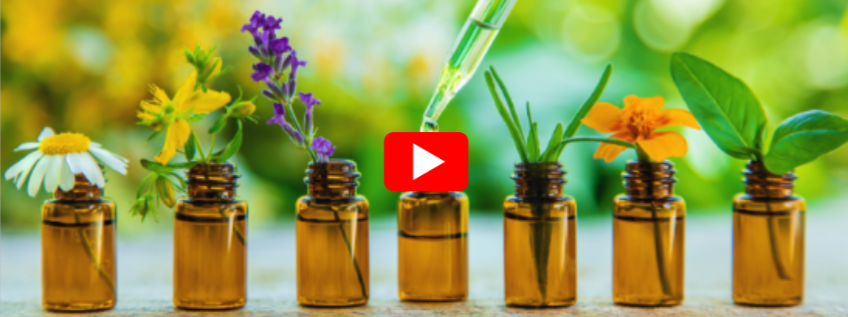 7 Best Herbs for Toenail Fungus video