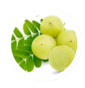 Alma Extract