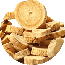 Astragalus Root