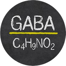 GABA (Gamma-Aminobutyric Acid)