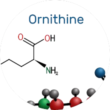 L-Ornithine HCI