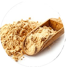 Pituitary (Anterior) Powder