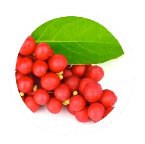 Schisandra Powder