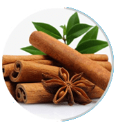 cinnamon (2)