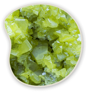 10-ingredients