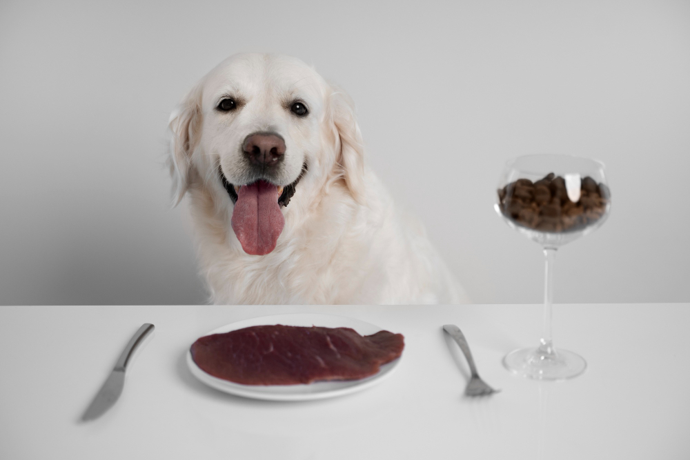Dog Safe from Toxic Foods