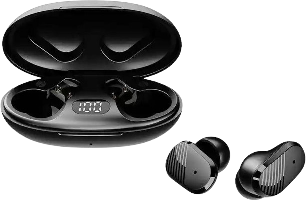 Echo Labs Audio Earbuds