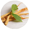 PanaxGinseng