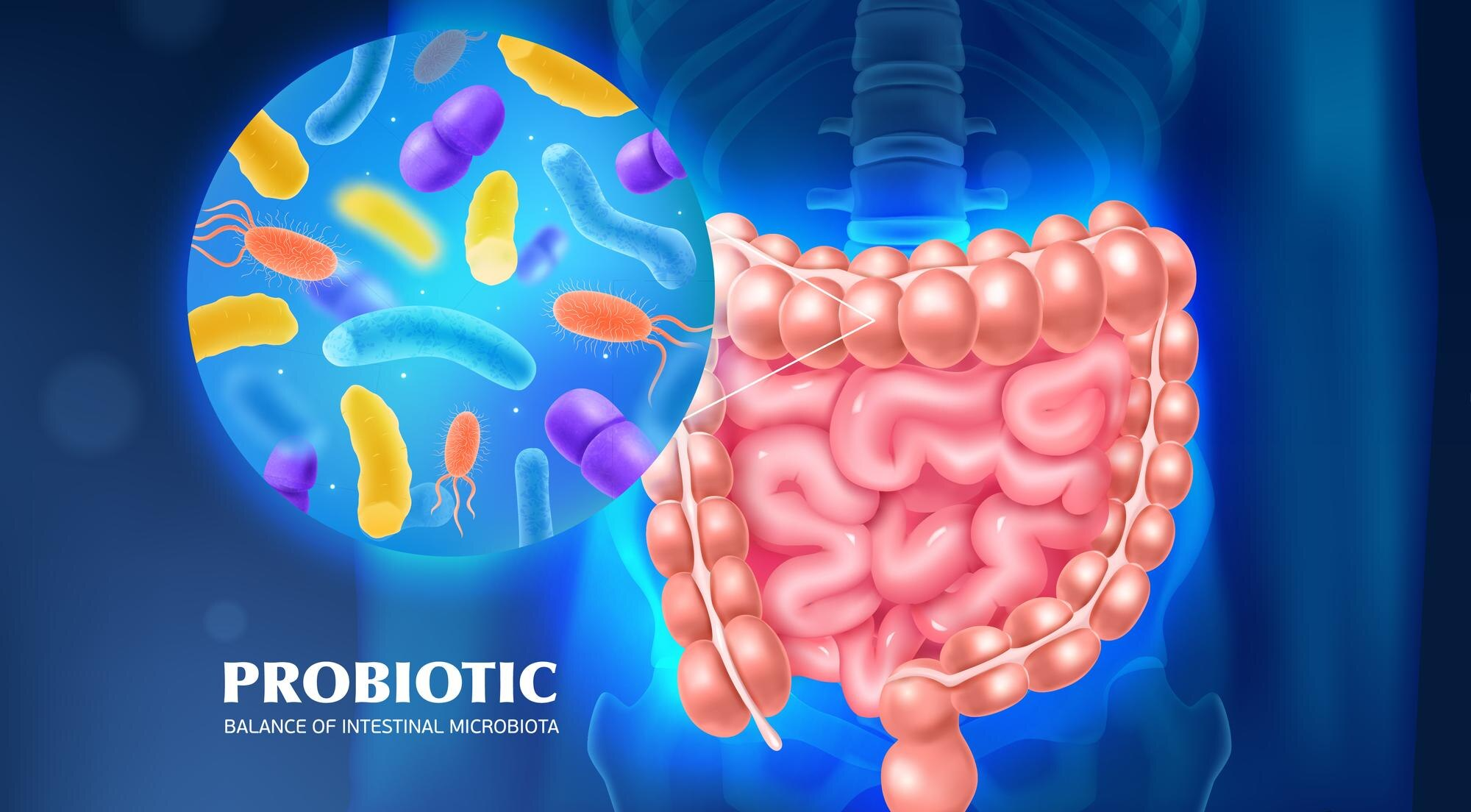 Probiotic