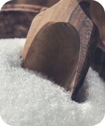 1-ingredient (1)