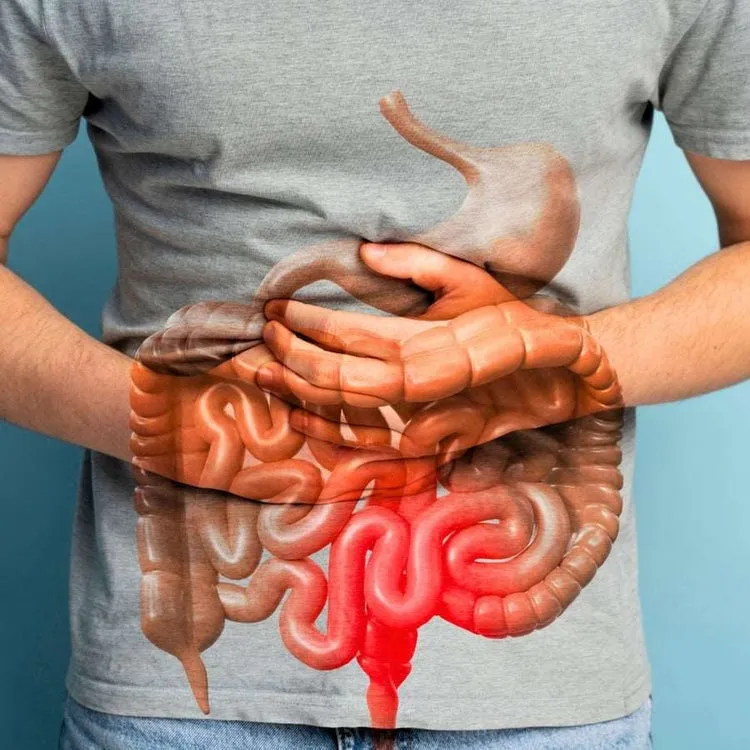 15 Day Cleanse Gut and Colon Support