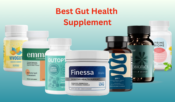Best Gut Health Supplement