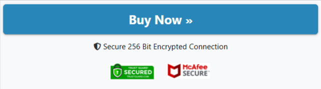 BuyGoods-Secure-Checkout-