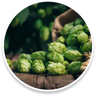 Hops