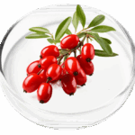 berberine vertigenics
