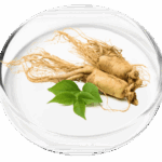 ginseng vertigenics